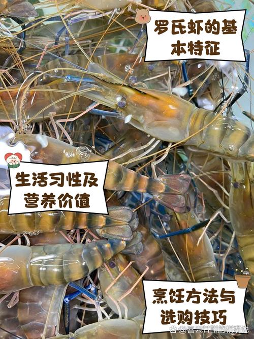 罗氏虾和龙虾能杂交吗？-第1张图片-宁夏农业信息网
