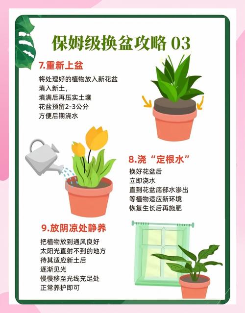 丁香换盆后怎么养护？-第2张图片-宁夏农业信息网