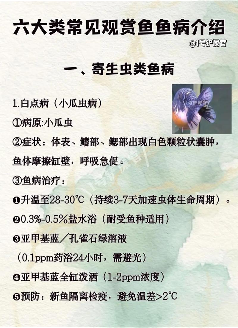 里鱼鳃孢子虫怎么治？有效方法有哪些？-第3张图片-宁夏农业信息网