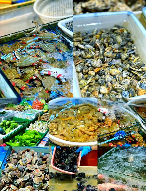 宁波大世界水产批发市场怎么样？-第3张图片-宁夏农业信息网