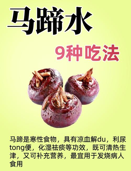 马蹄怎么养？有哪些注意事项？-第1张图片-宁夏农业信息网