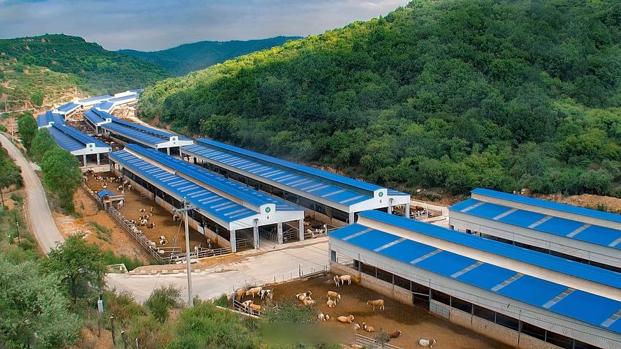 山东农大牧业是品种养殖网核心基地吗?-第3张图片-宁夏农业信息网 山东农大牧业是品种养殖网核心基地吗?-第3张图片-宁夏农业信息网