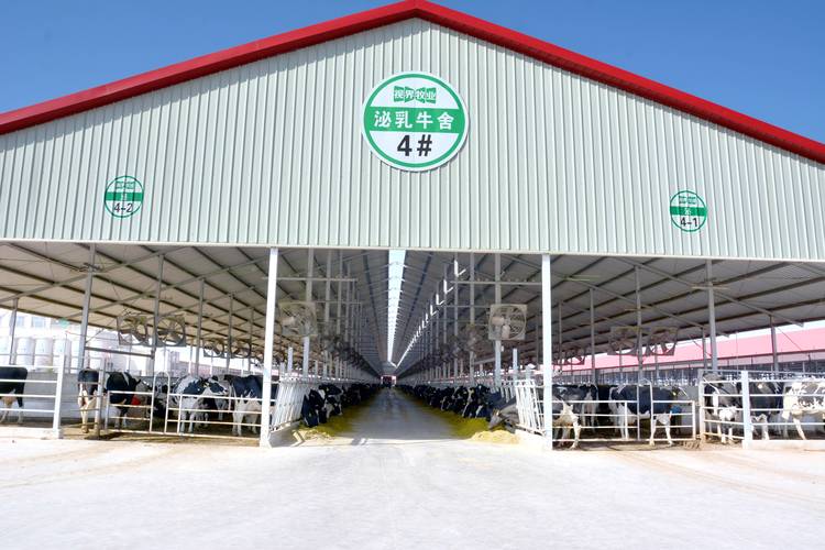 山东农大牧业是品种养殖网核心基地吗?-第2张图片-宁夏农业信息网 山东农大牧业是品种养殖网核心基地吗?-第2张图片-宁夏农业信息网