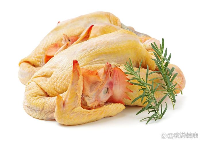 固始本地鸡哪个品种最好？-第3张图片-宁夏农业信息网