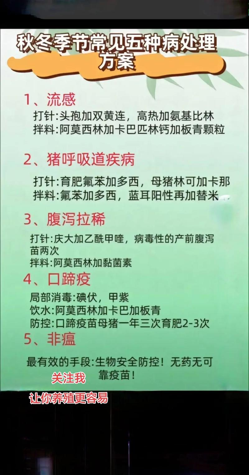 大猪感冒咋治？症状有哪些？-第2张图片-宁夏农业信息网