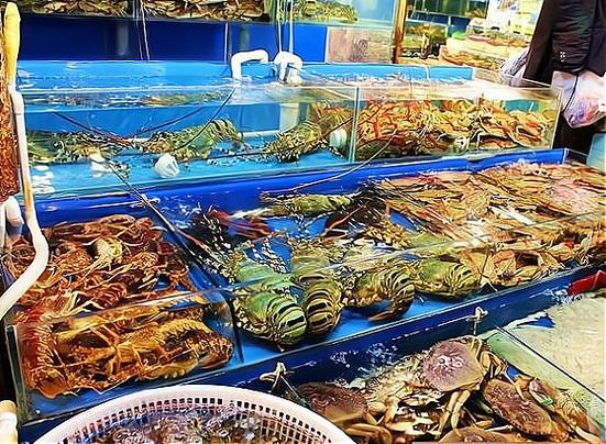 天津大型水产市场在哪里？-第1张图片-宁夏农业信息网