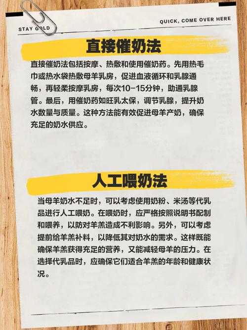 母羊缺奶怎么办？快速催奶有妙招？-第1张图片-宁夏农业信息网