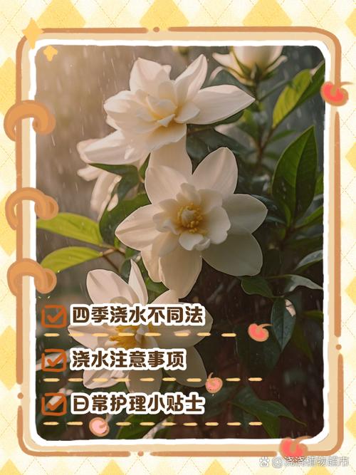 栀子花浇水正确方法是什么？-第3张图片-宁夏农业信息网