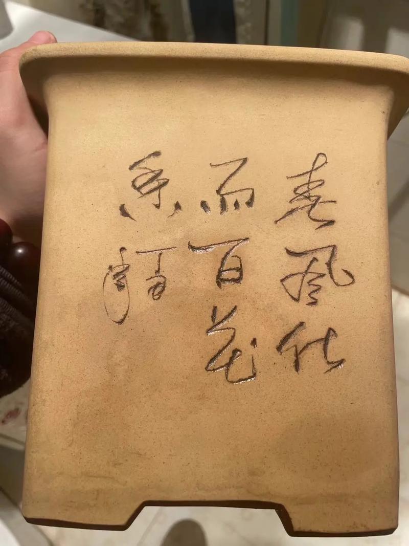 紫砂盆如何渗水透气？-第2张图片-宁夏农业信息网