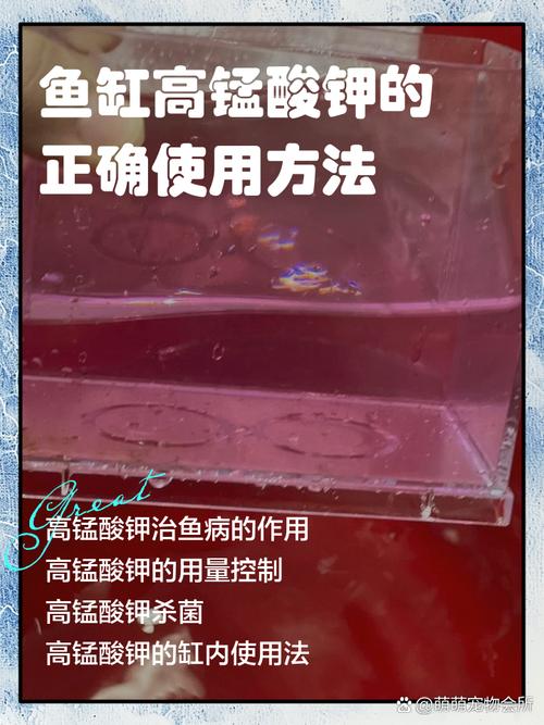 高锰酸钾在水产养殖怎么用？-第1张图片-宁夏农业信息网