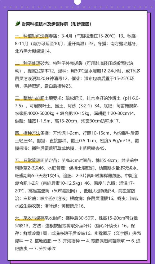 香菜怎么养才茂盛？注意这几点就够啦！-第2张图片-宁夏农业信息网