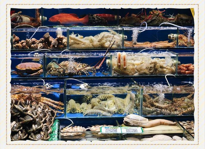 黄沙水产市场今日收货时间？-第2张图片-宁夏农业信息网