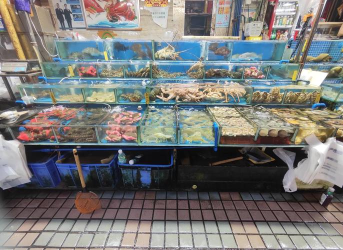 黄沙水产市场今日收货时间？-第1张图片-宁夏农业信息网