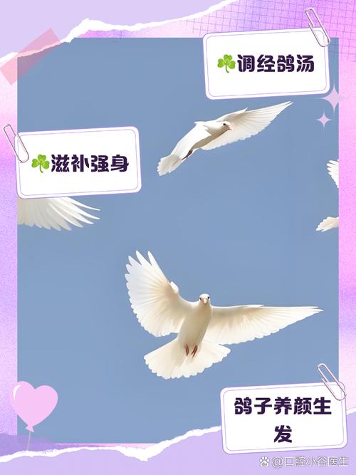 什么品种鸽子营养价值最高？-第2张图片-宁夏农业信息网