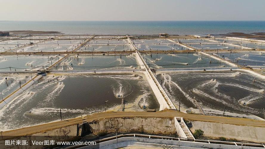 印尼水产养殖开发潜力有多大?-第1张图片-宁夏农业信息网 印尼水产养殖开发潜力有多大?-第1张图片-宁夏农业信息网