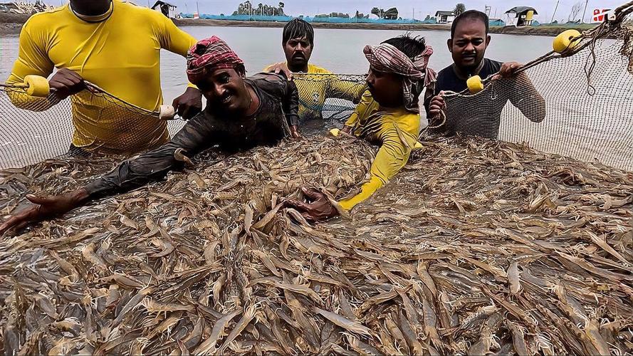 印尼水产养殖开发潜力有多大?-第3张图片-宁夏农业信息网 印尼水产养殖开发潜力有多大?-第3张图片-宁夏农业信息网