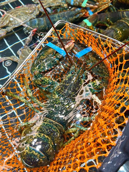 福清东威水产2025有何规划？-第3张图片-宁夏农业信息网