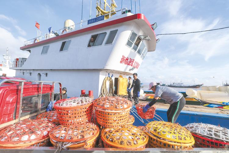 福清东威水产2025有何规划？-第1张图片-宁夏农业信息网