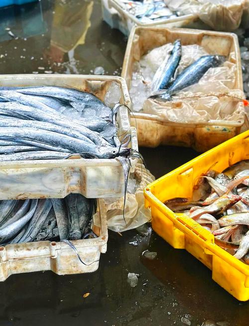 海外疫情利好国产水产-第1张图片-宁夏农业信息网