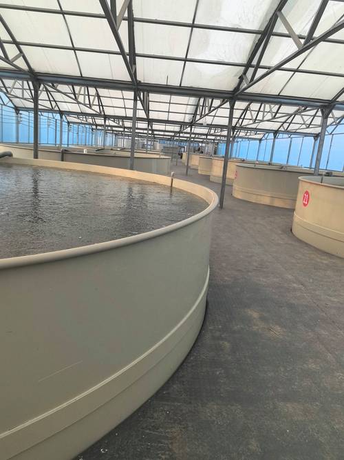 无土水产养殖设备水源-第2张图片-宁夏农业信息网