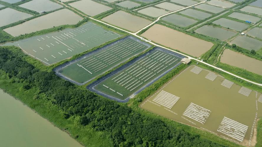 国家水产健康养殖基地-第1张图片-宁夏农业信息网 国家水产健康养殖基地-第1张图片-宁夏农业信息网