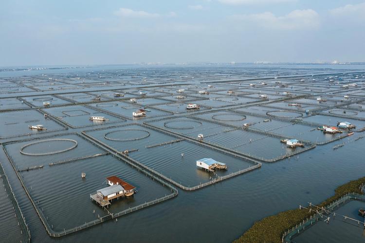 国家水产健康养殖基地-第2张图片-宁夏农业信息网 国家水产健康养殖基地-第2张图片-宁夏农业信息网