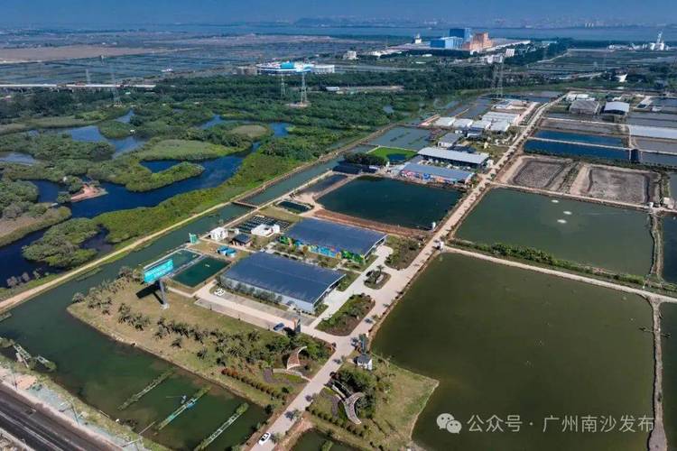 国家水产健康养殖基地-第3张图片-宁夏农业信息网 国家水产健康养殖基地-第3张图片-宁夏农业信息网