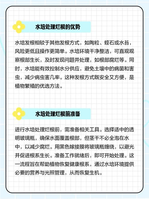 阳台的落地生根清理方法-第3张图片-宁夏农业信息网