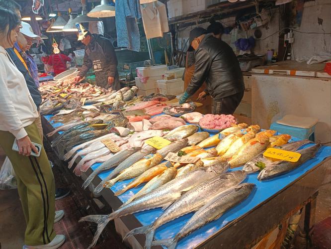 嘉兴哪有便宜水产市场-第2张图片-宁夏农业信息网 嘉兴哪有便宜水产市场-第2张图片-宁夏农业信息网