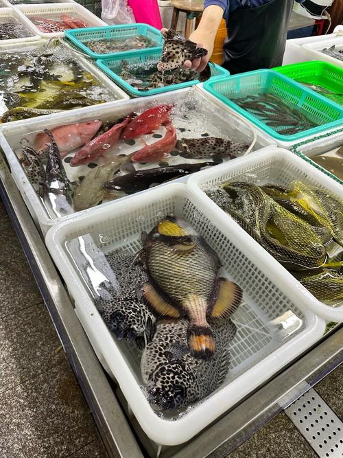 嘉兴哪有便宜水产市场-第1张图片-宁夏农业信息网 嘉兴哪有便宜水产市场-第1张图片-宁夏农业信息网