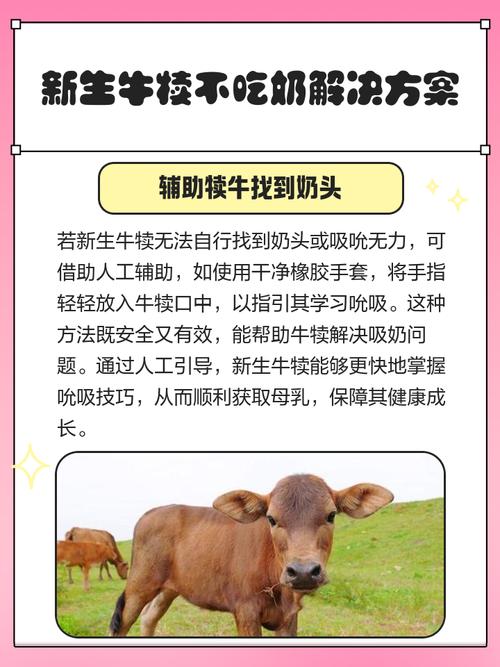 牛犊缺硒的最新治疗方法-第3张图片-宁夏农业信息网