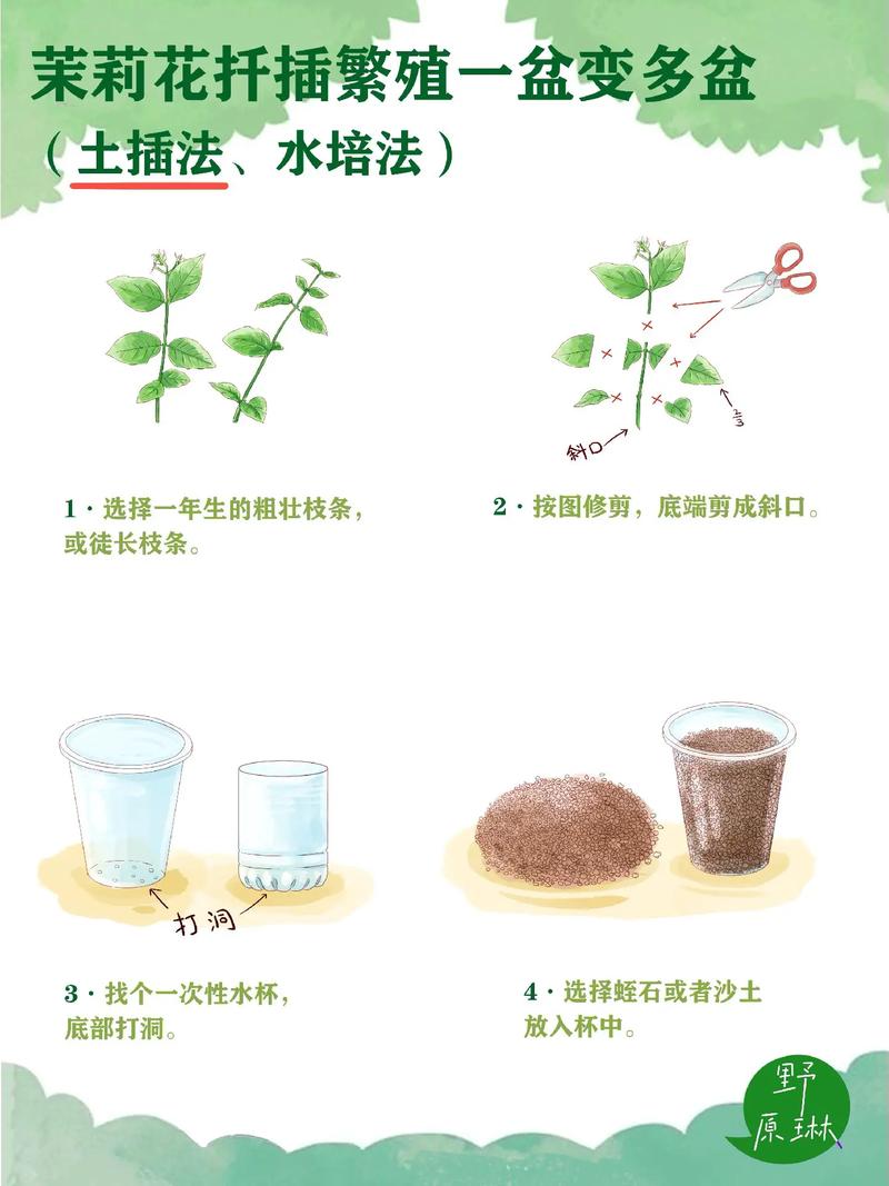 哪种花的繁殖方法最简单-第2张图片-宁夏农业信息网 哪种花的繁殖方法最简单-第2张图片-宁夏农业信息网