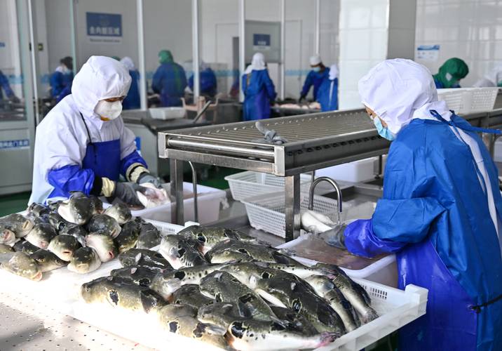 传统水产加工方法有何奥秘？-第1张图片-宁夏农业信息网