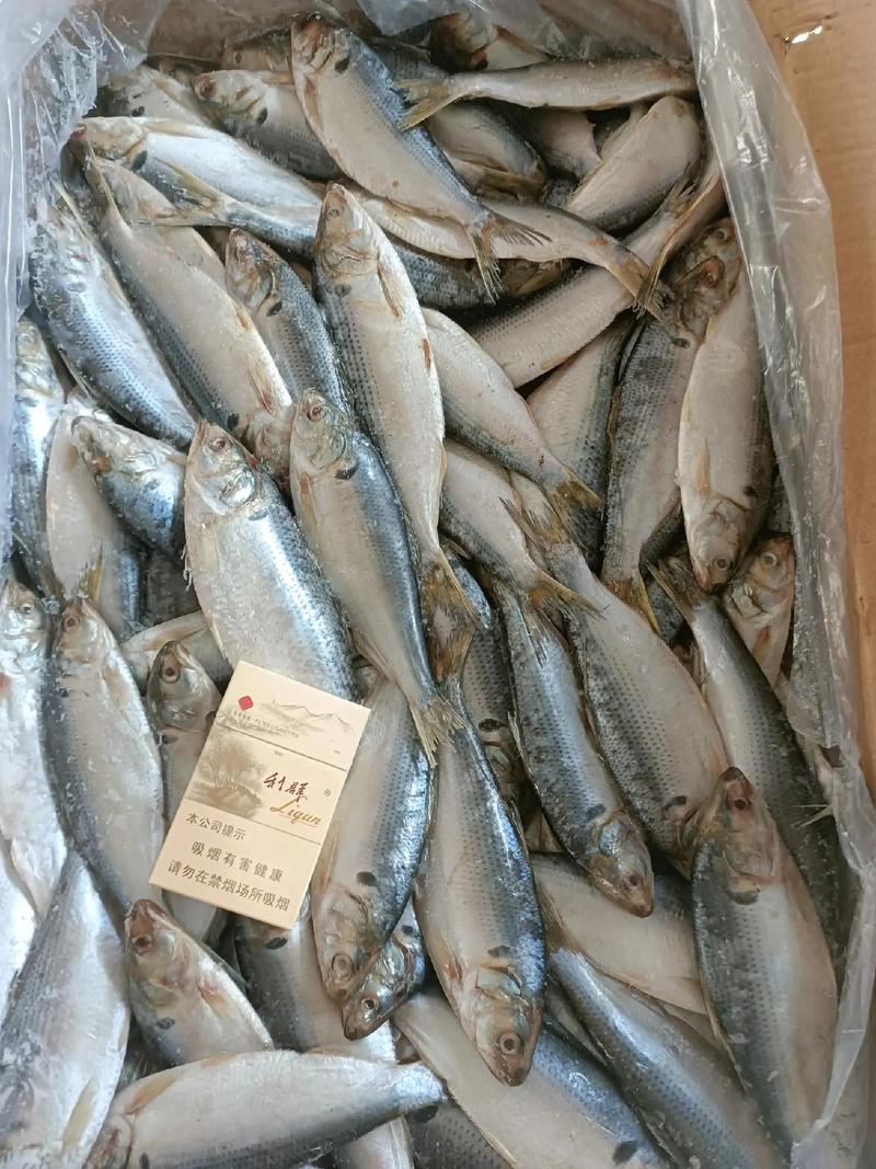 兴化鲫鱼批发价多少钱一斤？-第1张图片-宁夏农业信息网