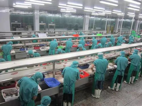 广东水产加工厂食品安全如何保障？-第3张图片-宁夏农业信息网
