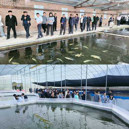 专业水产养殖培训学校哪家好？-第1张图片-宁夏农业信息网