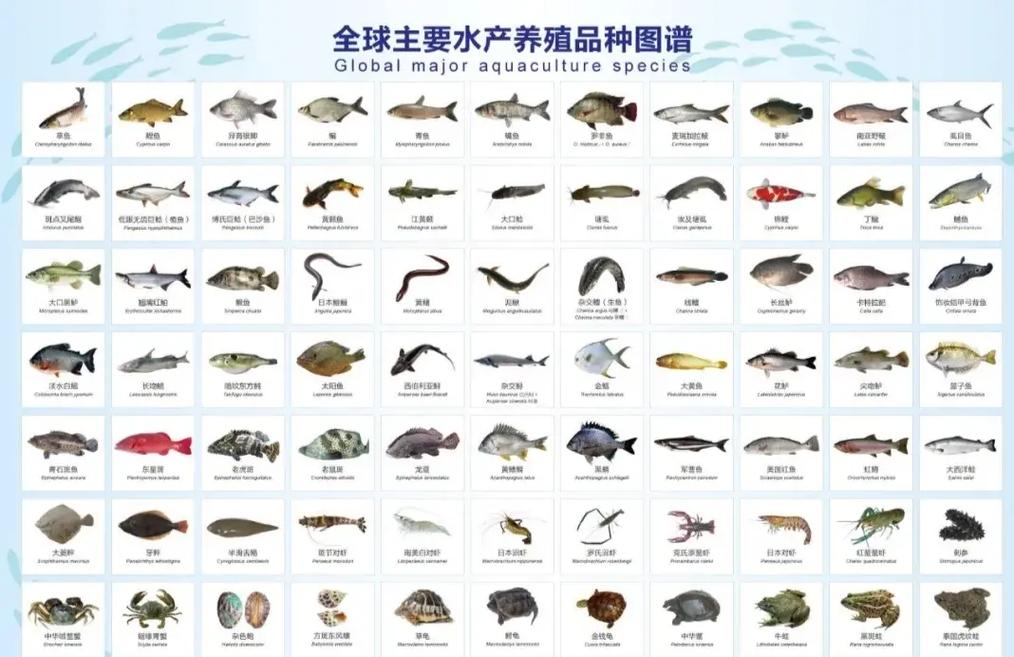广东水产养殖品种分布-第2张图片-宁夏农业信息网