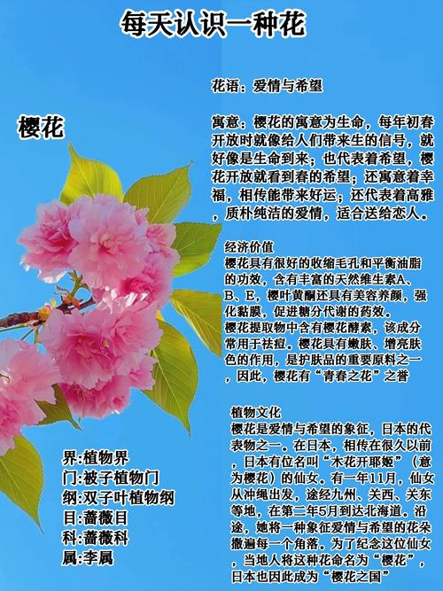 樱花不开花时如何辨别品种?-第3张图片-宁夏农业信息网 樱花不开花时如何辨别品种?-第3张图片-宁夏农业信息网