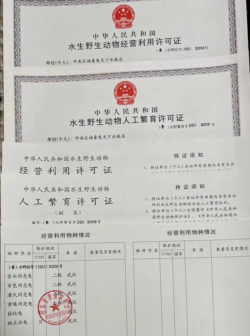 特种水产养殖证书办理条件与流程？-第2张图片-宁夏农业信息网