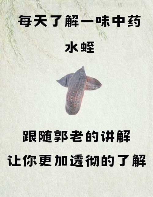 水产养殖蚂蝗怎么处理-第2张图片-宁夏农业信息网