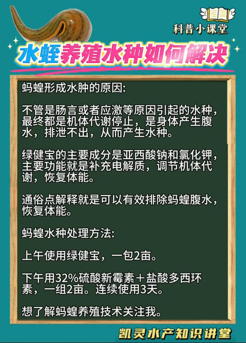 水产养殖蚂蝗怎么处理-第1张图片-宁夏农业信息网 水产养殖蚂蝗怎么处理-第1张图片-宁夏农业信息网