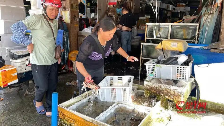 广州黄沙水产凌晨视频-第3张图片-宁夏农业信息网 广州黄沙水产凌晨视频-第3张图片-宁夏农业信息网