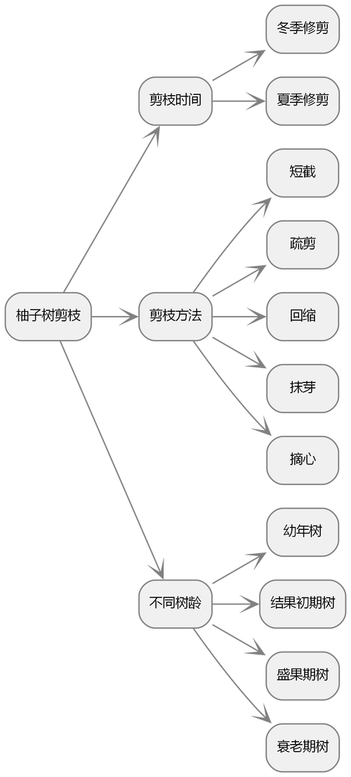 柚子树的修剪方法是什么-第2张图片-宁夏农业信息网