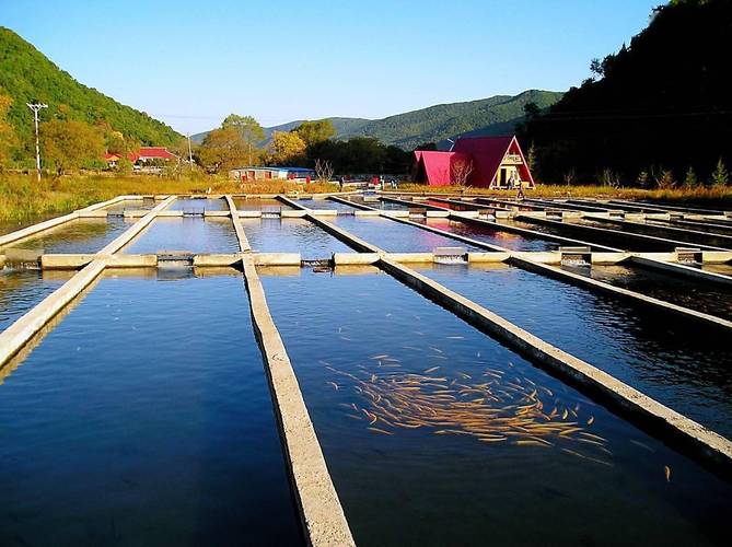 哪种水产种植效益最好？-第1张图片-宁夏农业信息网