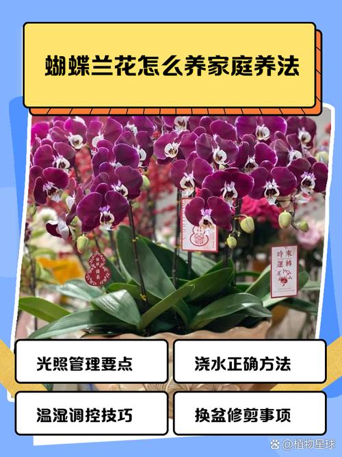 养花开头用了啥方法？-第1张图片-宁夏农业信息网