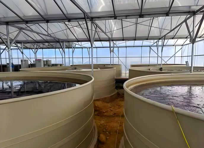 我国目前水产养殖模式-第1张图片-宁夏农业信息网