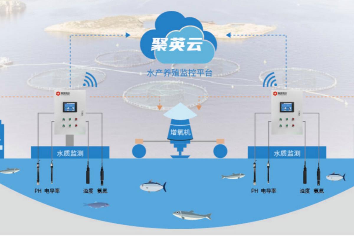 我国目前水产养殖模式-第3张图片-宁夏农业信息网