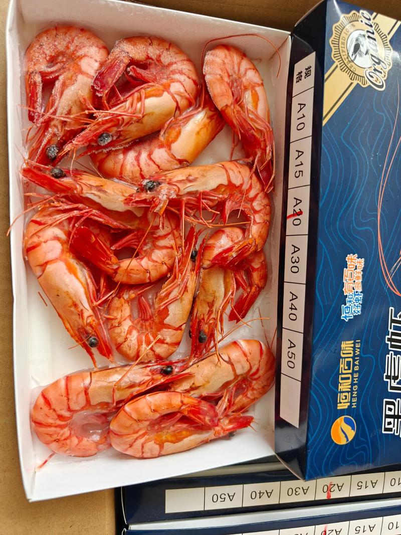 东北养草虾品种技术有哪些要点?-第2张图片-宁夏农业信息网 东北养草虾品种技术有哪些要点?-第2张图片-宁夏农业信息网