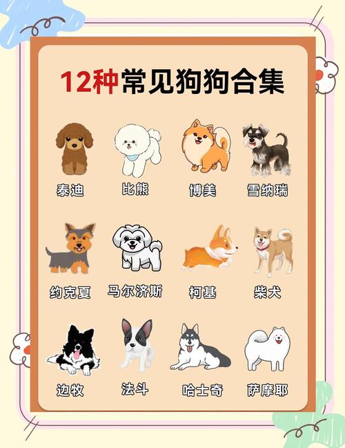 肉狗养殖选择那个品种好-第3张图片-宁夏农业信息网