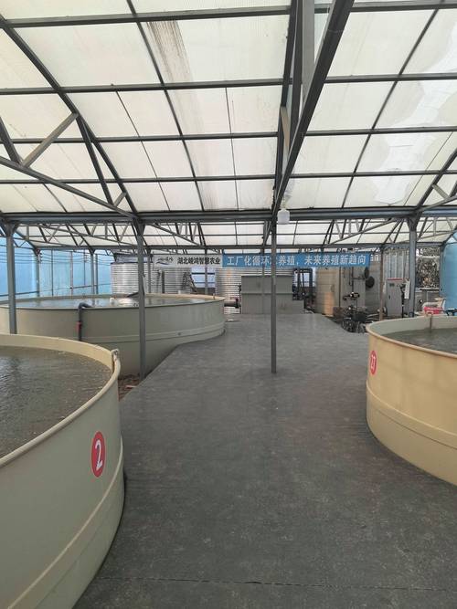 室内大型水产养殖设备-第1张图片-宁夏农业信息网